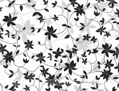 Fotopozadí FLORAL 2 BW