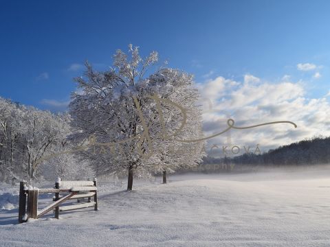 Fotopozadí - WINTER 38