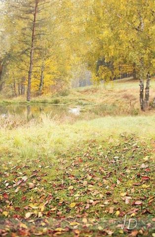 Fotopozadí - stěna+podlaha - PODZIM