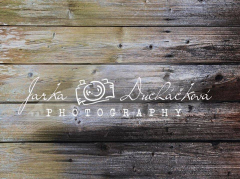 JD PHOTOGRAPHY  Fotopozadí - PODLAHA 388