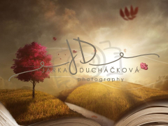 JD PHOTOGRAPHY  Fotopozadí - FANTASY 20