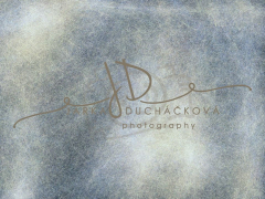 JD PHOTOGRAPHY  Fotopozadí - VINTAGE 31