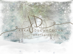 JD PHOTOGRAPHY  Fotopozadí - WINTER 77