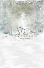 JD PHOTOGRAPHY  Fotopozadí - spojené - ADVENTNÍ KRAJINKA 37